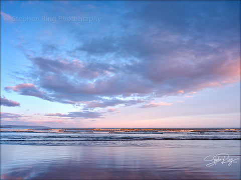 08833- Westward Ho!