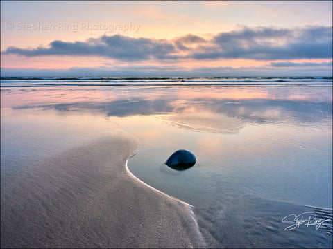 08853- Westward Ho!