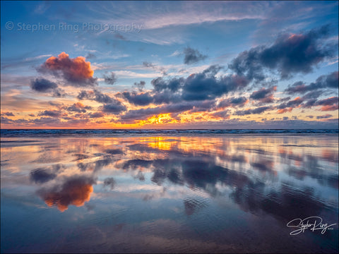 08854- Westward Ho!