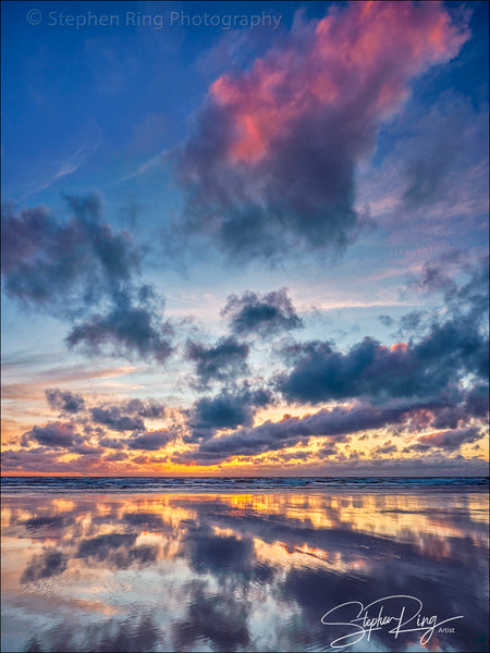 08857- Westward Ho!