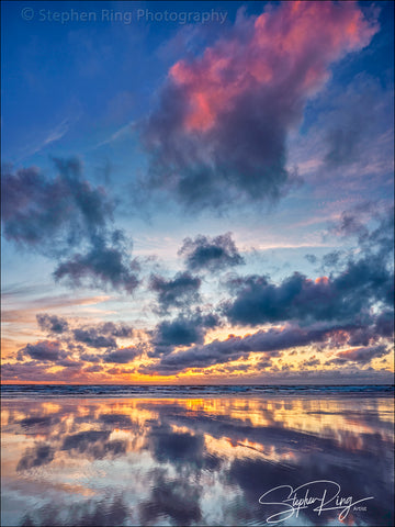 08857- Westward Ho!