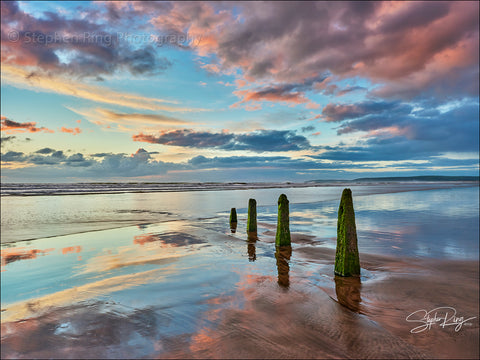 08858- Westward Ho!