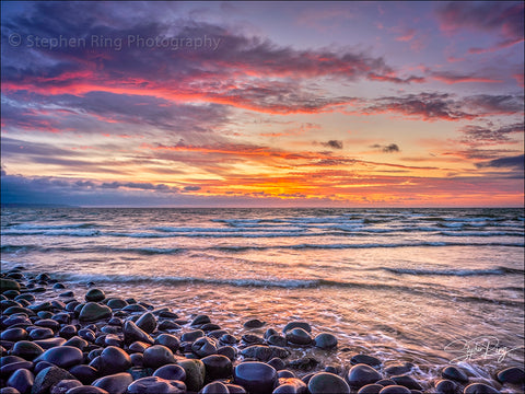 08859- Westward Ho!