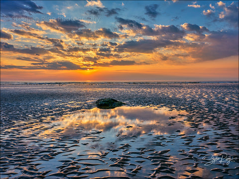 08861- Westward Ho!