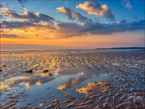 08862- Westward Ho!
