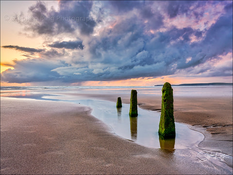 08879 - Westward Ho!