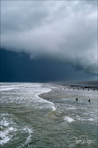 08886 - Westward Ho!