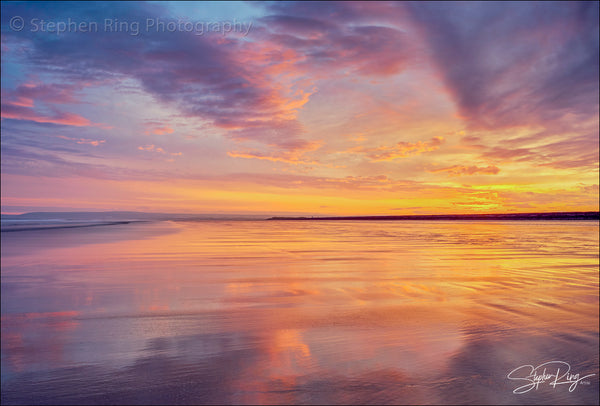 08889 - Westward Ho!