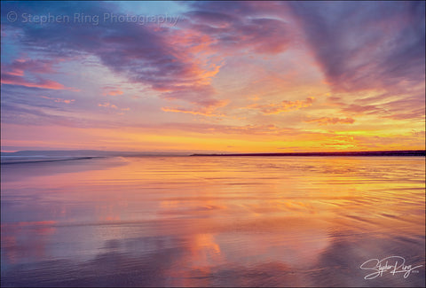 08889 - Westward Ho!