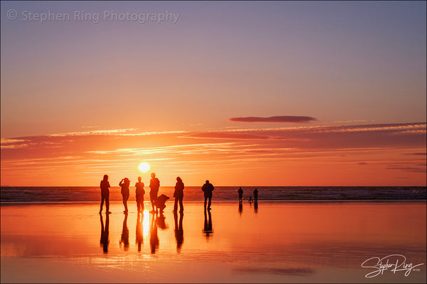 08890 - Westward Ho!
