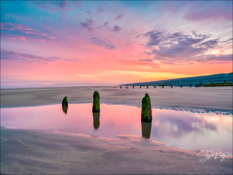 08893 - Westward Ho!