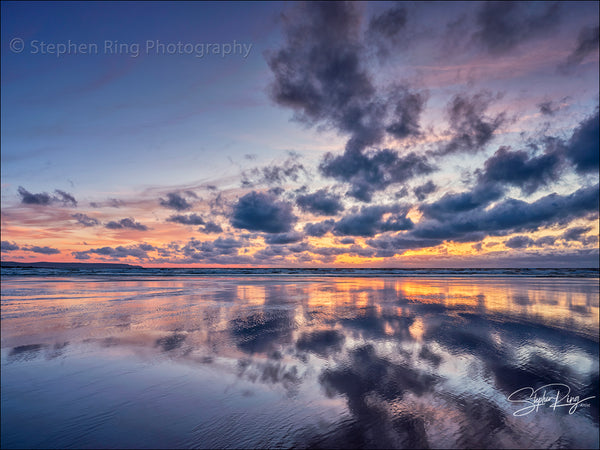 08904 - Westward Ho!