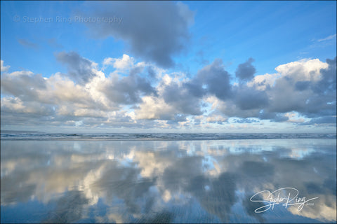 08169 -  Westward Ho!