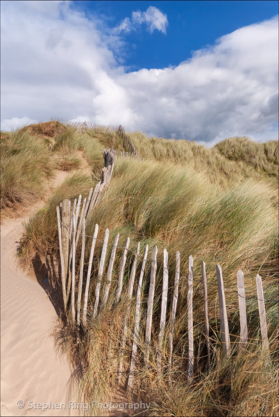 01054- Northam Burrows