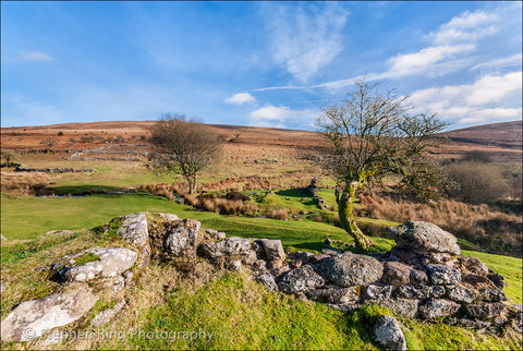 01266- Dartmoor