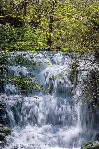 01943 - Watersmeet