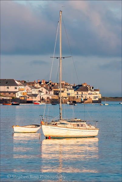 02036 - Appledore