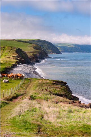 02111 - North Devon Canvas Prints