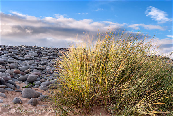 02153 - Northam Burrows