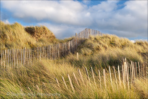 02155 - Northam Burrows