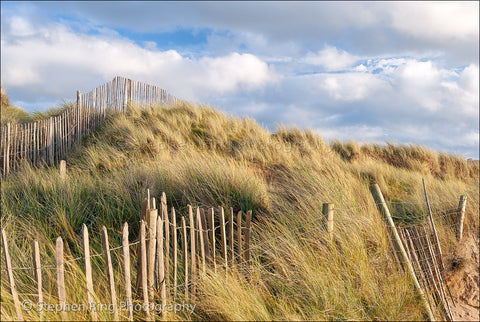 02156 - Northam Burrows