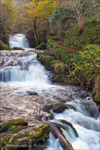 02228 - Watersmeet