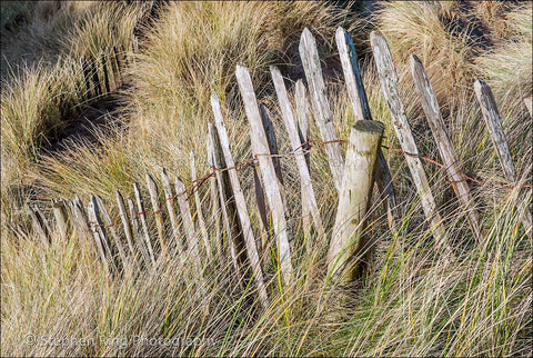 02274 - Northam Burrows