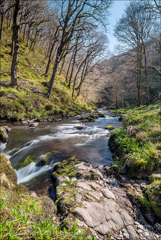 02292 - Watersmeet