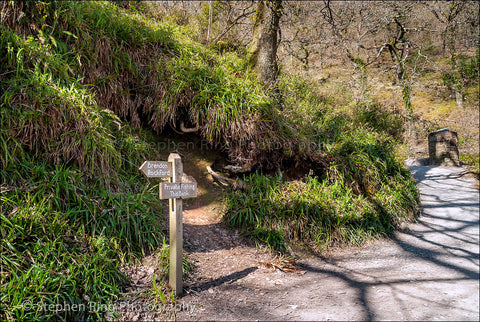 02293 - Watersmeet