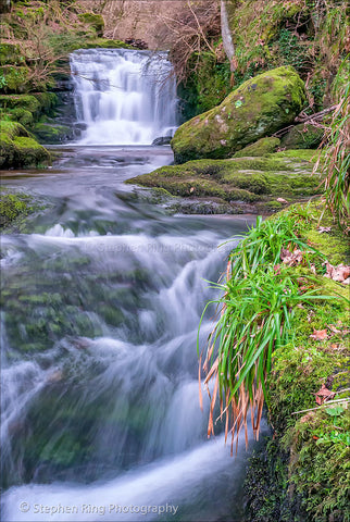 02296 - Watersmeet