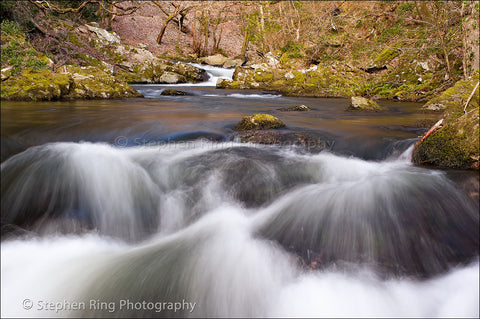 02300 - Watersmeet