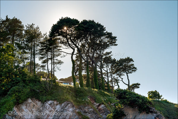 02356 - Lee Bay