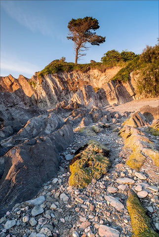 02379 - Lee Bay