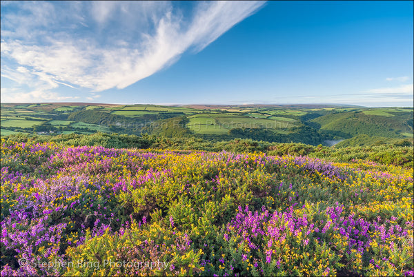 02402 - Exmoor