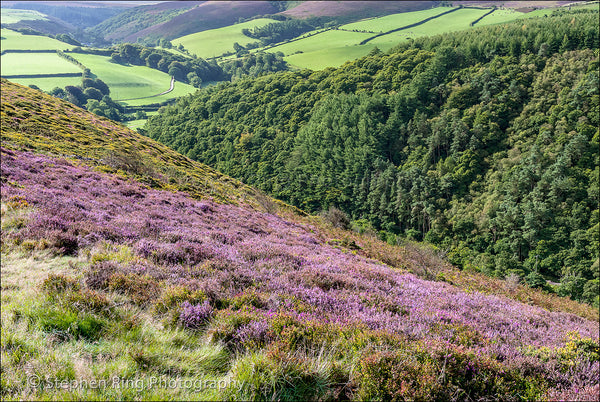 02409 - Exmoor