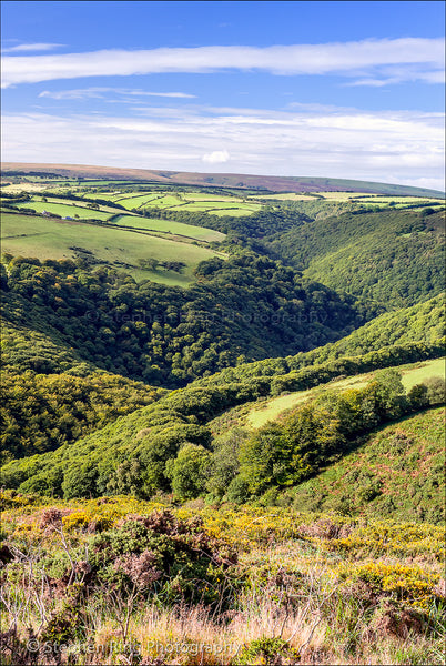 02452 - Exmoor