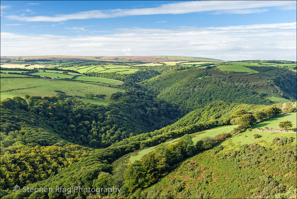 02458 - Exmoor