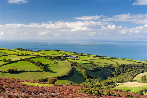 02485 - North Devon Canvas Prints