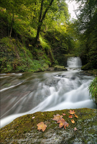 03373 - Watersmeet