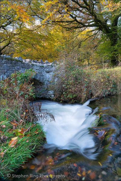 03406 - Exmoor