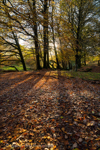 03408 - Exmoor