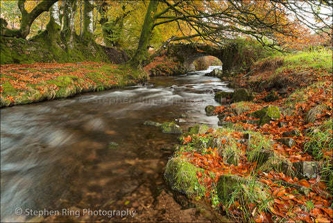 03411 - Exmoor