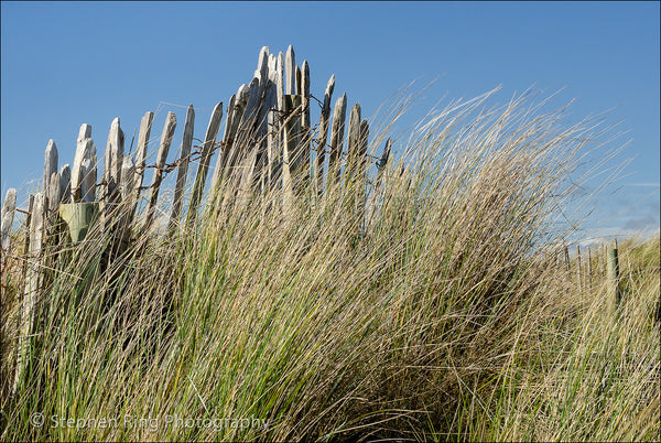 03418 - Northam Burrows