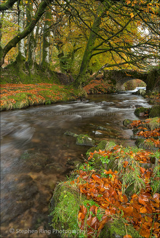 03423 - Exmoor