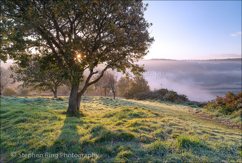 03426 - North Devon Canvas Prints