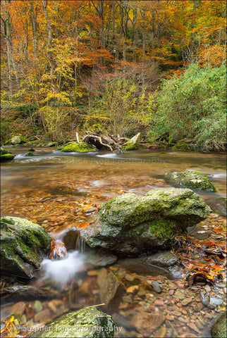 03437 - North Devon Canvas Prints