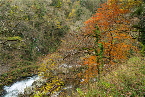 03438 - Exmoor