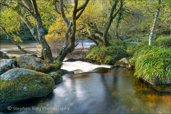 03441- Dartmoor