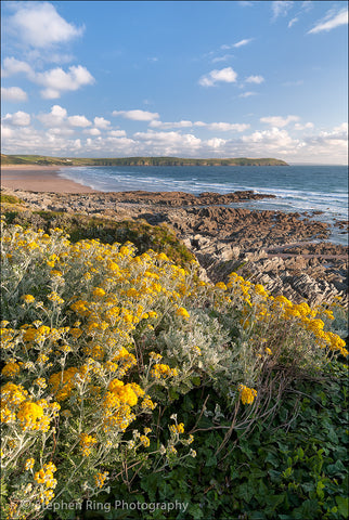 03445 - Woolacombe