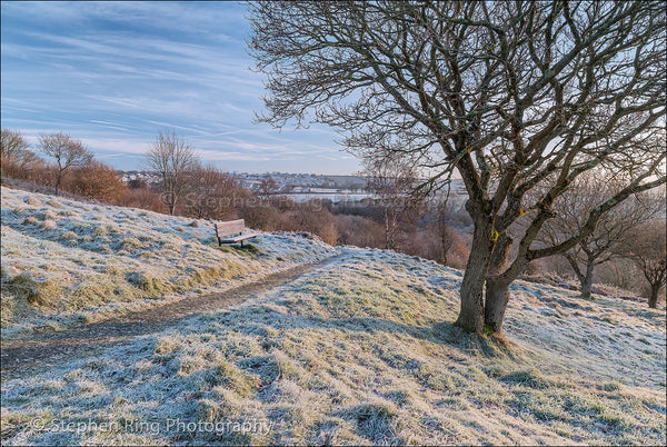 03455 -Torrington